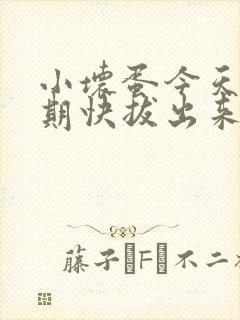 小坏蛋今天危险期快拔出来