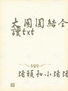 大团圆结全文阅读txt