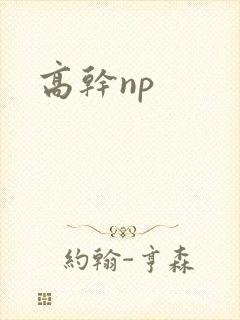 高干np