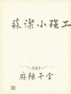 苏洁小强工地情