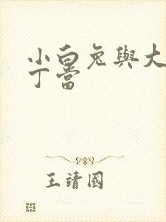 小白兔与大灰狼丁当