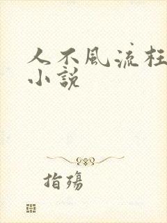 人不风流枉少年小说