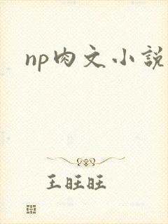 np肉文小说
