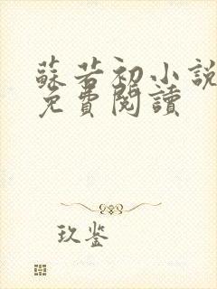 苏若初小说全文免费阅读