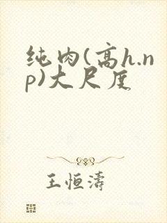 纯肉(高h.np)大尺度