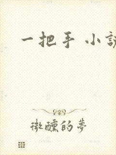 一把手 小说