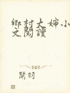 乡村大婶小说全文阅读