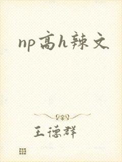 np高h辣文