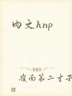 肉文hnp