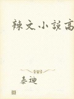 辣文小说高h