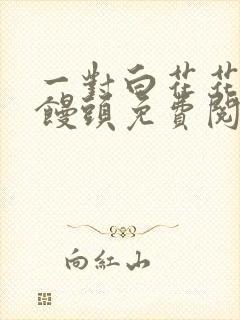 一对白花花的大馒头免费阅读