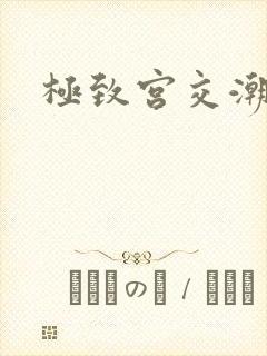 极致宫交潮喷h