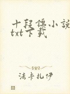 十段锦小说全本txt下载