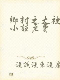 乡村之大被同眠小说免费