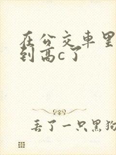 在公交车里c弄到高c了