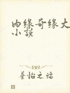 内缘奇缘大团圆小说