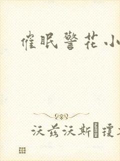 催眠警花小说