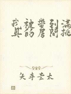 我被带到满是玩具的房间挑调作文