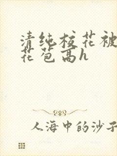 清纯校花被迫开花苞高h