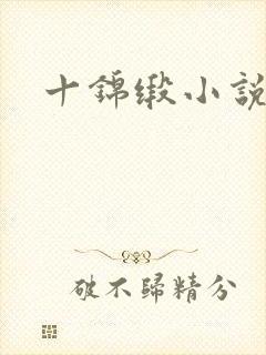 十锦缎小说