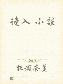 后入 小说