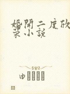 婚开二度欣欣向荣小说