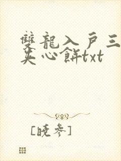 双龙入户三人行夹心饼txt