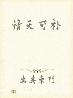情天可补