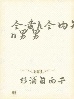 全黄h全肉短篇n男男