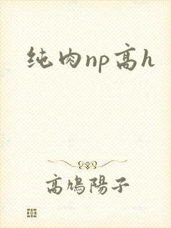 纯肉np高h