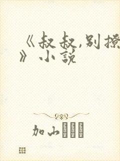 《叔叔,别撩我》小说