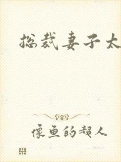 总裁妻子太诱人