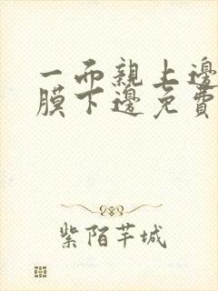 一面亲上边一面膜下边免费阅读