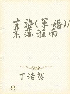 有染(军婚)/叶落淮南