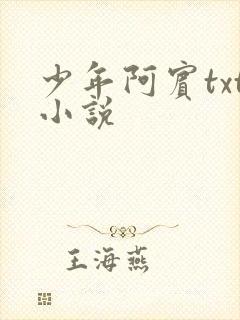 少年阿宾txt小说