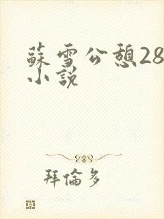 苏雪公憩28篇小说