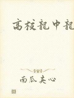 高校龙中龙