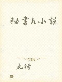 秘书h小说