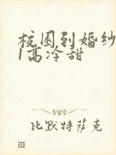 校园到婚纱1V1高冷甜