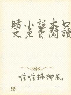 赌小说木口银全文免费阅读笔趣阁