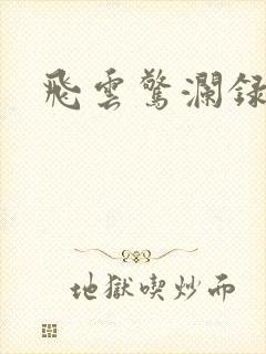 飞云惊澜录