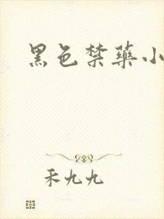 黑色禁药小说