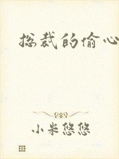 总裁的偷心娇妻