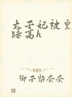 太子妃被皇上强睡高h