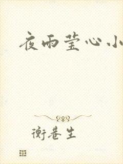 夜雨莹心小说