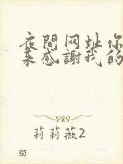 夜间网址你会回来感谢我的