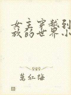 女主穿越到很开放的世界小说
