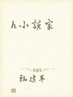 h小说家