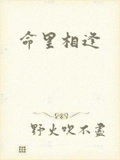 命里相逢