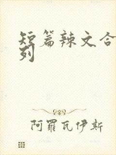 短篇辣文合集系列